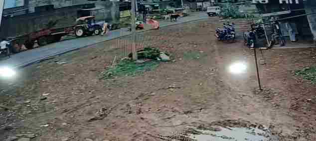 Video: Shivpuri में एक भयानक सड़क हादसा, चलती बाइक से गिरी महिला, 3 लोग घायल