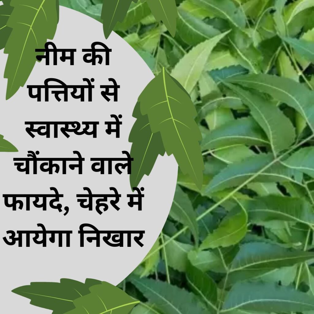 Neem Leaves Benefits Amazing health benefits of neem leaves, face will glow